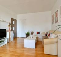 Living room in a two-room apartment, light walls, wooden floor, comfortable sofa, decorations.