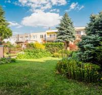 In the garden of a family house in Dunajská Streda, there are trees, flowers, and a lawn.