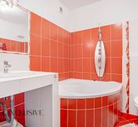 A bathroom in a family house with a shower and red tiles.
