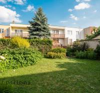 A garden of a family house in Dunajská Streda with a large tree and flowers.