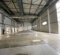 Empty warehouse spaces with high ceilings and marked paths in warehouses and halls.