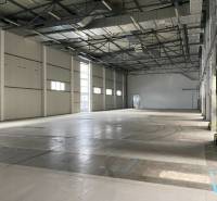 A wide interior of a warehouse and halls with a high ceiling and industrial lighting.