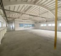 Spacious interior of warehouses and halls with light walls and arched ceiling.