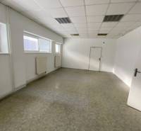 White interior with ceiling panels and radiators in warehouse and hall spaces.