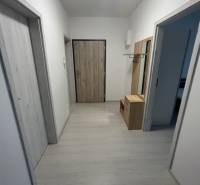 A hallway in a 2-room apartment with wooden doors and storage furniture.