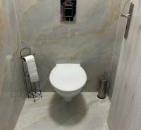 A toilet in a 2-room apartment with a toilet paper holder and a flushing system.