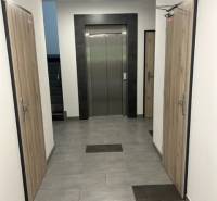 Hallway with two doors and an elevator in the building, possibly a 2-room apartment.