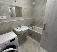Bathroom with a shower and a washing machine in a 2-room apartment with white walls and a mirror.