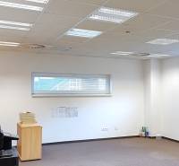 Offices with white walls, a cabinet, a printer, and windows.
