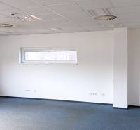 Empty offices, white walls, carpets, windows, ceilings with lighting.