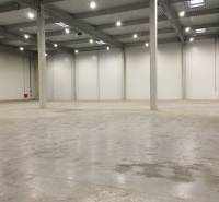 Empty space inside warehouses and halls with concrete floors and columns.