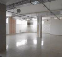 Empty commercial spaces with large windows and columns, suitable for various uses.