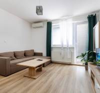 Living room in a 2-room apartment with a sofa, wooden table, and TV cabinet with greenery.