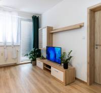 Living room in a 2-room apartment with wooden furniture, a television, and plants.