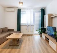 Living room in a two-room apartment with a sofa and a television on a wooden floor.