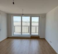 A spacious room with wooden flooring and large windows in a 2-room apartment.
