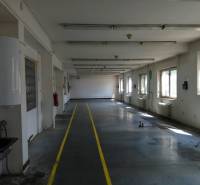 Production premises with a concrete floor, windows, and bright yellow lines on one side.