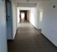 Narrow, long interior corridor in manufacturing premises with doors along the hallway.
