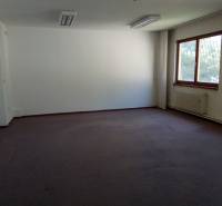 An empty office with a carpeted floor and a large window in the manufacturing area.