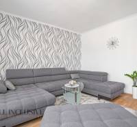 A bright living room in a two-room apartment with a gray sofa and patterned wallpaper.