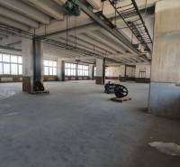 A spacious hall with machines, large windows, and concrete columns.