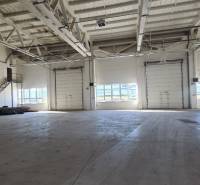 Industrial interior with a large open space and garage doors, suitable for warehouses and halls.