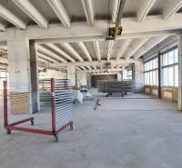 Warehouses and halls with large windows and thoughtful lighting, metal racks.