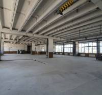 Spacious interior of warehouses and halls with high ceilings and large windows.