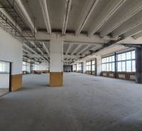Warehouses and halls with concrete walls and large windows.