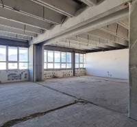 A view into the abandoned interior of a building with old tiles, warehouses, and halls.