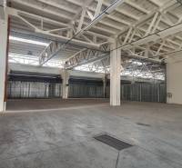 A spacious hall with industrial lighting and metal structures in Warehouses and Halls.