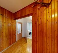 Wooden paneling and doors in a 3-room apartment with a washing machine in the background.