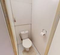 A toilet in a 3-room apartment with white walls and a floor rug.