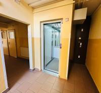 Entrance to the elevator and hallway in a 3-room apartment, light walls, tiles.
