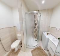 Bathroom with toilet, shower, and washing machine in a 2-room apartment.