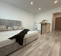 A bright living room with a bed, wooden floor, and a kitchenette in a studio apartment.