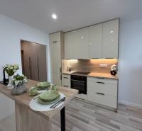 A kitchen in a studio apartment with modern furnishings and wooden elements.