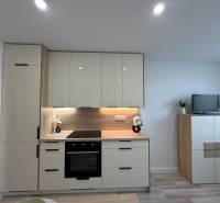 A kitchen unit in a one-room apartment with modern appliances and elegant storage space.