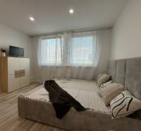 A bedroom in a studio apartment with a bed, a cabinet, and a television on a light floor.