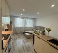 A tasteful kitchen with a living room in a studio apartment, laminate flooring, modern furniture.