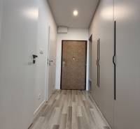 Interior of a 1-room apartment with a hallway, built-in wardrobes, and wooden flooring.