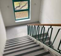 Staircase in offices with a window and railing, view of the outside nature.