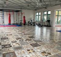 Spacious offices with punching bags and fitness equipment, flooring made of various types of marble.