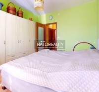 Bright bedroom in a 3-room apartment with a large wardrobe and green walls.
