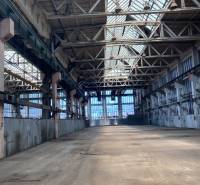 Industrial warehouses and halls with steel structures and glass roofs.