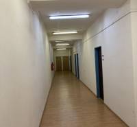 Narrow interior corridor with lights, wooden floor, and light walls in warehouses and halls.