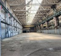 A vast interior of warehouses and halls with a roof made of steel beams and glass panels.