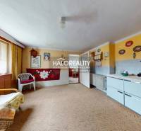 The family house offers a spacious room with a sofa, a kitchen unit, and a view of the garden.