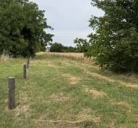 Land in Povoda, suitable for living, surrounded by greenery and wooden stakes.