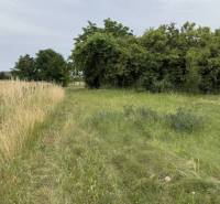 Plots - living in Povoda with a natural environment, trees and grass on site.